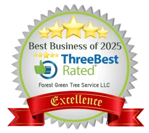 Best Tree Service Grand Rapids MI 2025