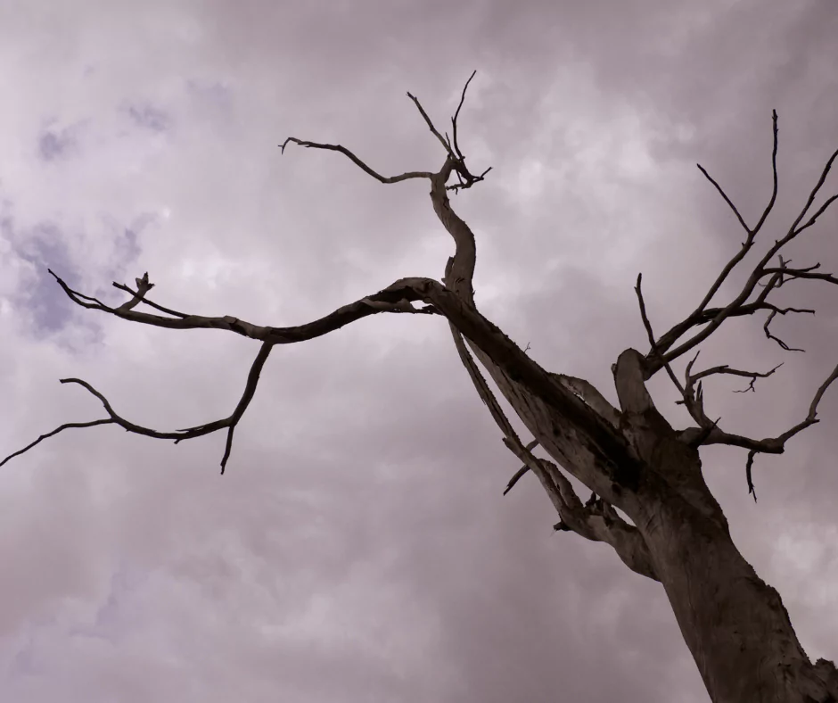 Environmental Conditions