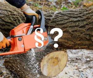Do you need a permit to cut down a tree in Grand Rapids