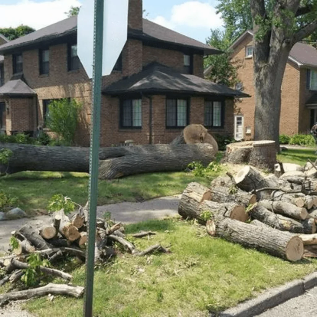 Tree Removal Michigan