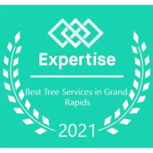 Best Tree Service Grand Rapids