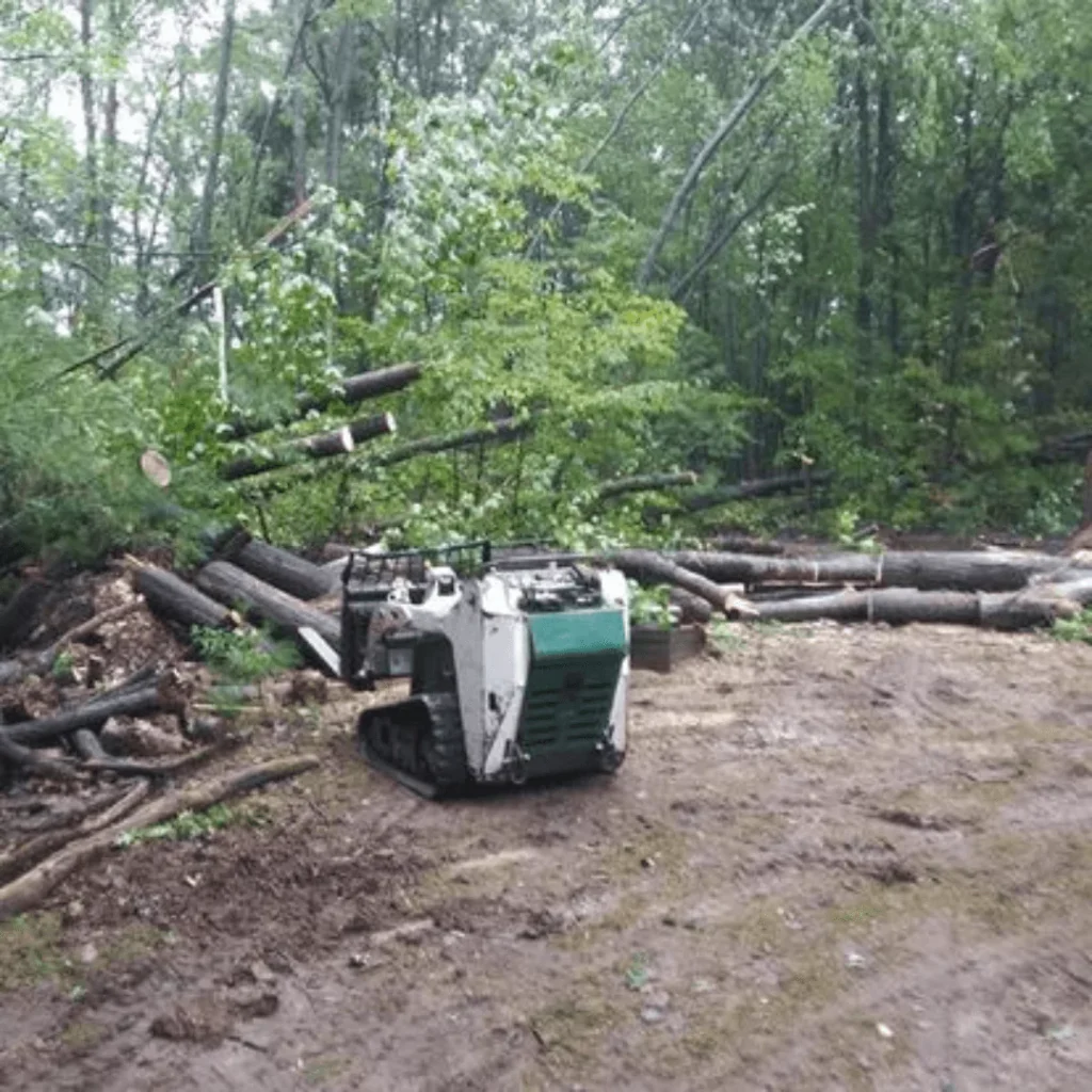 Tree Removal Service
