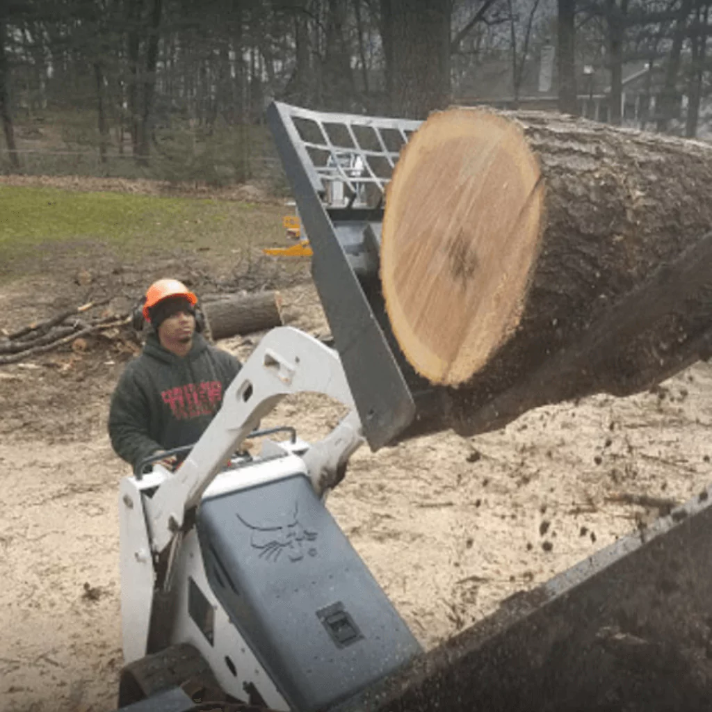 Tree Removal Michigan