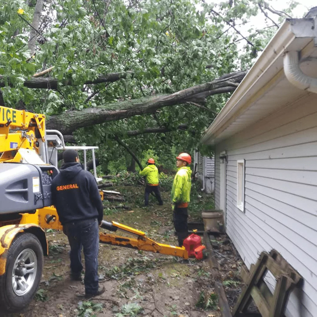 Forest Green Emergency Tree Service