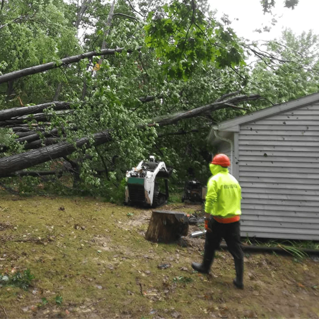 Emergency Tree Service Grand Rapids