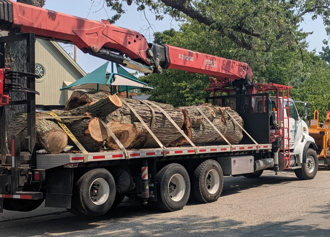 Grapple Saw and Crane Services - Forest Green Tree Service