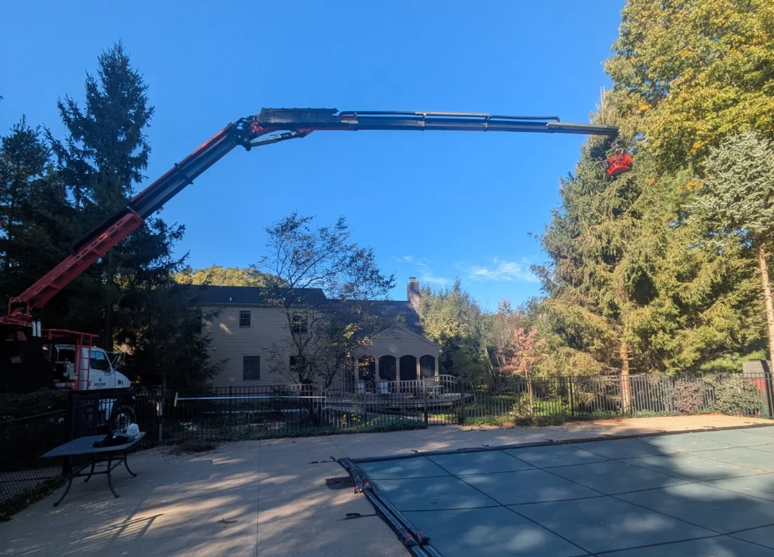 Grapple Saw and Crane Services - Forest Green Tree Service