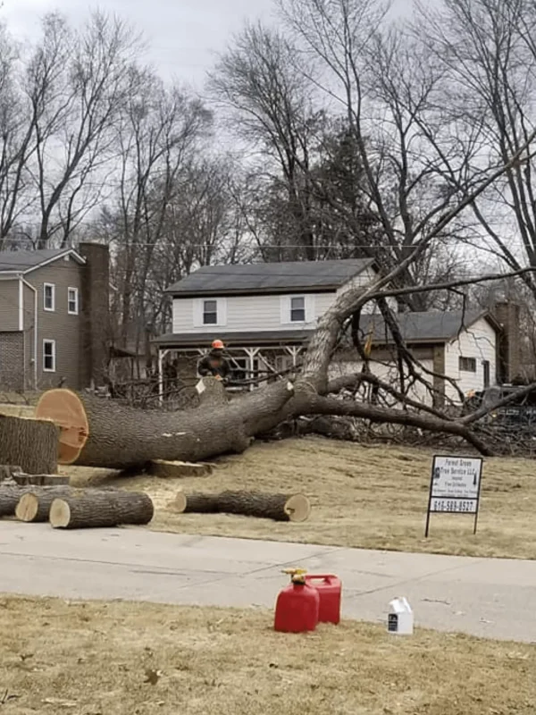 Tree Care Walker