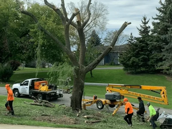 Affordable Tree Service Ada