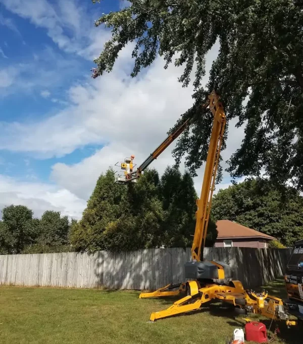 Tree Care Jenison